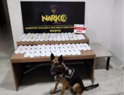 Patlıcan ve zeytin dolu çuvallarından uyuşturucu ele geçirildi Patlıcan ve zeytin dolu çuvallarından uyuşturucu ele geçirildi