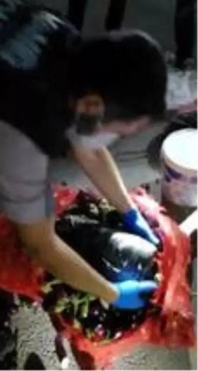 Patlıcan ve zeytin dolu çuvallarından uyuşturucu ele geçirildi Patlıcan ve zeytin dolu çuvallarından uyuşturucu ele geçirildi