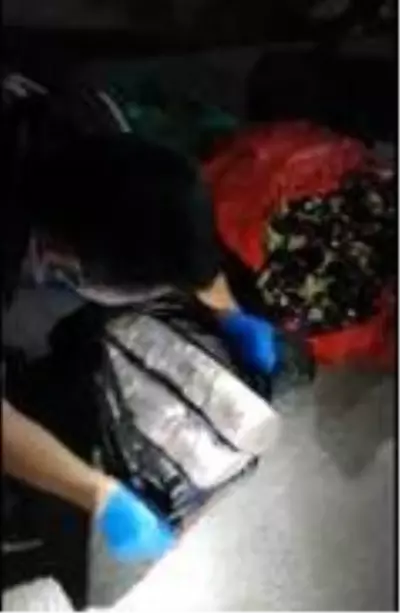 Patlıcan ve zeytin dolu çuvallarından uyuşturucu ele geçirildi Patlıcan ve zeytin dolu çuvallarından uyuşturucu ele geçirildi