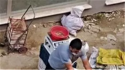 Pazarcının aç gözlülüğü pes dedirtti! Ürünlerini metal parayla doldurduğu terazide tarttı Pazarcının aç gözlülüğü pes dedirtti! Ürünlerini metal parayla doldurduğu terazide tarttı