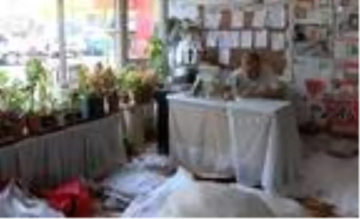 Perdeci mi, çiçekçi mi, görenler şaşırıyor