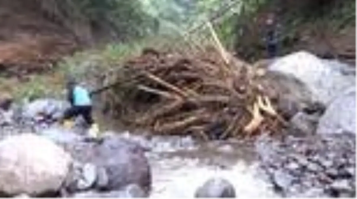 Şiddetli yağışların neden olduğu sel hayatı olumsuz etkiledi