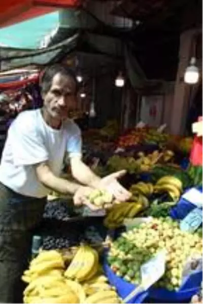 Şifa deposu hünnaba ilgi artıyor Şifa deposu hünnaba ilgi artıyor