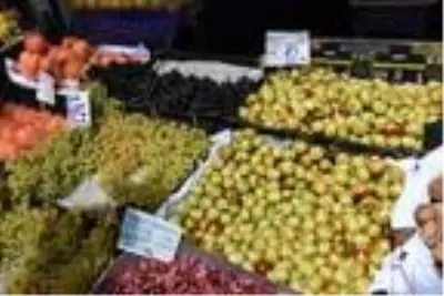 Şifa deposu hünnaba ilgi artıyor Şifa deposu hünnaba ilgi artıyor