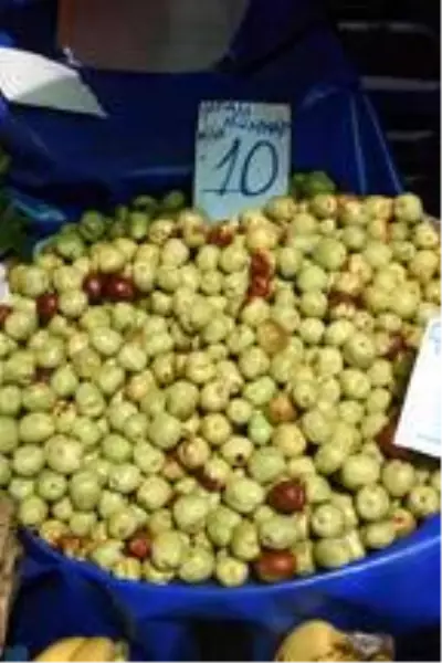Şifa deposu hünnaba ilgi artıyor Şifa deposu hünnaba ilgi artıyor