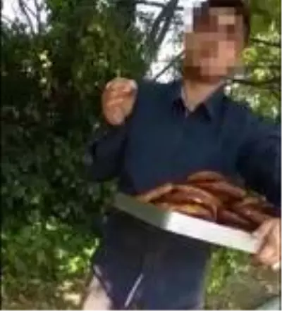 Simit tablasıyla bayılma numarası yapıp insanları kandırdı! O anlar kameraya yansıdı Simit tablasıyla bayılma numarası yapıp insanları kandırdı! O anlar kameraya yansıdı