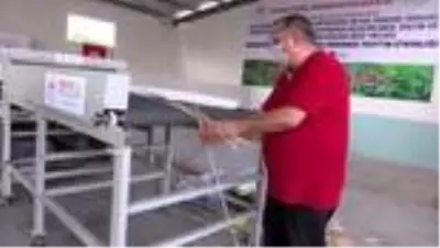 Türk mühendisleri kenevir lif sıyırma makinesi geliştirdi Türk mühendisleri kenevir lif sıyırma makinesi geliştirdi