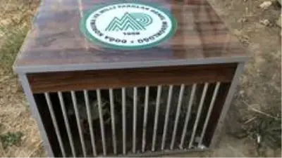 Van'da kafes avcısı polise takıldı Van'da kafes avcısı polise takıldı