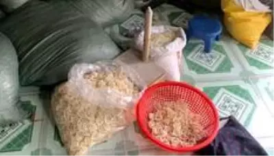 Vietnam'da yeni gibi satılmak üzere olan 320 bin kullanılmış prezervatif ele geçirildi Vietnam'da yeni gibi satılmak üzere olan 320 bin kullanılmış prezervatif ele geçirildi
