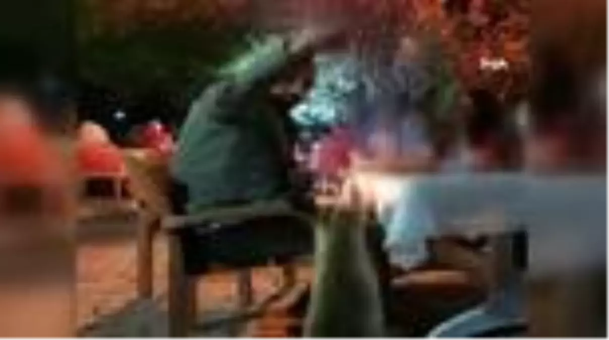 Yemeğin davetsiz misafiri 'Tilki'