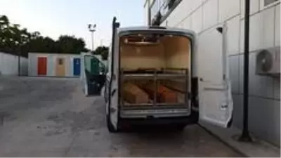 80 yaşındaki adam tarlada ölü bulundu 80 yaşındaki adam tarlada ölü bulundu