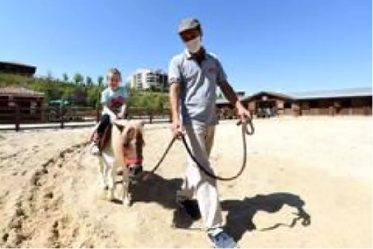 Altınköy Açık Hava Müzesi içerisinde açılan 'At Çiftliği'ne yoğun ilgi