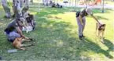 Antalya 'pitbull' ihbarında liste başı Antalya 'pitbull' ihbarında liste başı