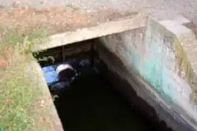 Ayağı kayıp suya düşen yaşlı kadın hayatını kaybetti Ayağı kayıp suya düşen yaşlı kadın hayatını kaybetti