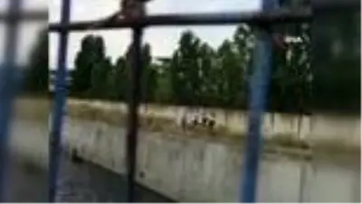 Bahçelievler'de gasp edilip 7 metre yükseklikten atılan adam dehşet anlarını anlattı Bahçelievler'de gasp edilip 7 metre yükseklikten atılan adam dehşet anlarını anlattı
