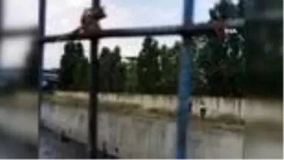 Bahçelievler'de gasp edilip 7 metre yükseklikten atılan adam dehşet anlarını anlattı Bahçelievler'de gasp edilip 7 metre yükseklikten atılan adam dehşet anlarını anlattı