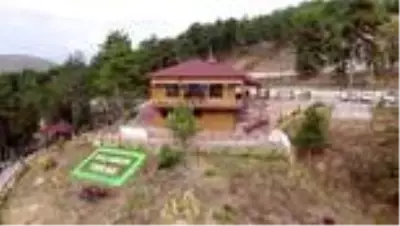 Batı Karadeniz'in yeni gözdesi 'orman denizi' manzaralı 'Ihlamur Teras' Batı Karadeniz'in yeni gözdesi 'orman denizi' manzaralı 'Ihlamur Teras'