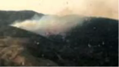 Bergama'da orman yangını Bergama'da orman yangını