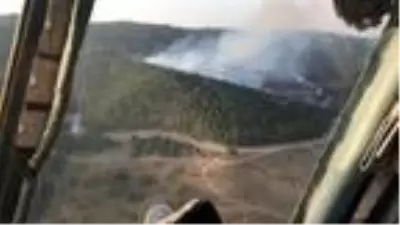 Bergama'da orman yangını Bergama'da orman yangını