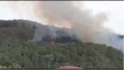 Beykoz'da ormanlık alanda yangın Beykoz'da ormanlık alanda yangın