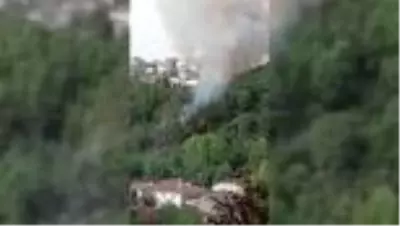 Beykoz'da ormanlık alanda yangın Beykoz'da ormanlık alanda yangın