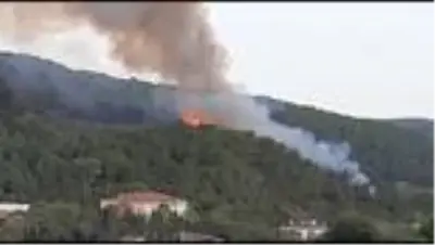 Beykoz'da ormanlık alanda yangın Beykoz'da ormanlık alanda yangın