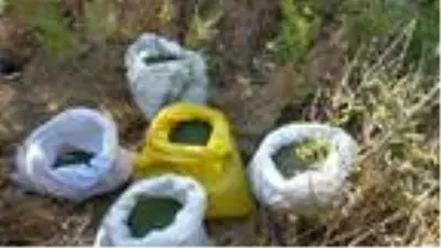 DHA YURT BÜLTENİ - 14 DHA YURT BÜLTENİ - 14