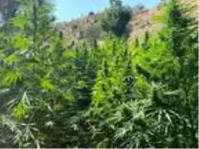 DHA YURT BÜLTENİ - 14 DHA YURT BÜLTENİ - 14