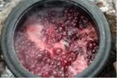 Doğa için işinden ayrıldı, topladığı meyveler geçim kaynağı oldu Doğa için işinden ayrıldı, topladığı meyveler geçim kaynağı oldu