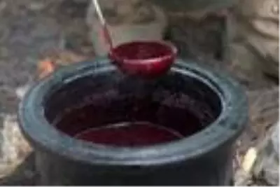 Doğa için işinden ayrıldı, topladığı meyveler geçim kaynağı oldu Doğa için işinden ayrıldı, topladığı meyveler geçim kaynağı oldu