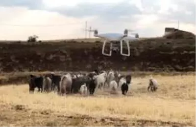Son dakika haber... Elazığ'da firar eden hayvanlar, 7 kilometre uzakta drone ile bulundu