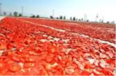Ereğli'den 41 milyon liralık domates kurusu ihracatı Ereğli'den 41 milyon liralık domates kurusu ihracatı