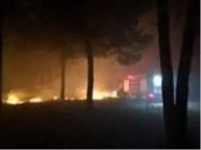 Gelibolu'da, otluk alanda korkutan yangın Gelibolu'da, otluk alanda korkutan yangın