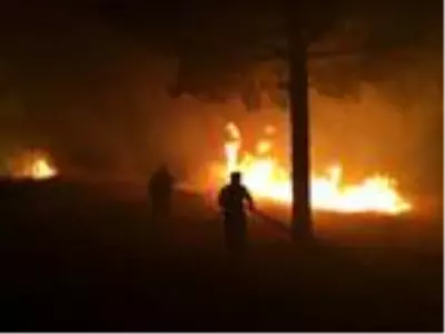 Gelibolu'da, otluk alanda korkutan yangın Gelibolu'da, otluk alanda korkutan yangın