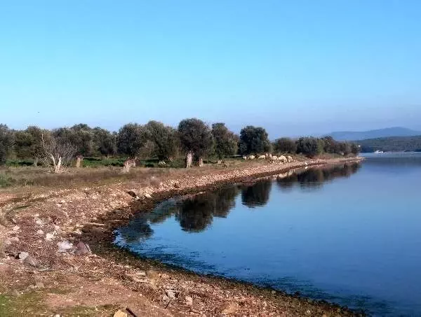 Hissedar Şerif Ali Çağdaş: Çiçek Adası satılık değil