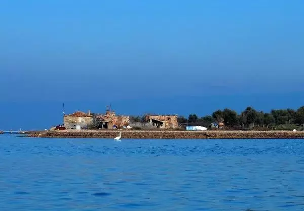 Hissedar Şerif Ali Çağdaş: Çiçek Adası satılık değil