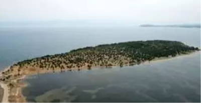 Hülya Avşar'ın Ayvalık'ta Çiçek Adası'nı satın alacağı iddiası yalanlandı Hülya Avşar'ın Ayvalık'ta Çiçek Adası'nı satın alacağı iddiası yalanlandı