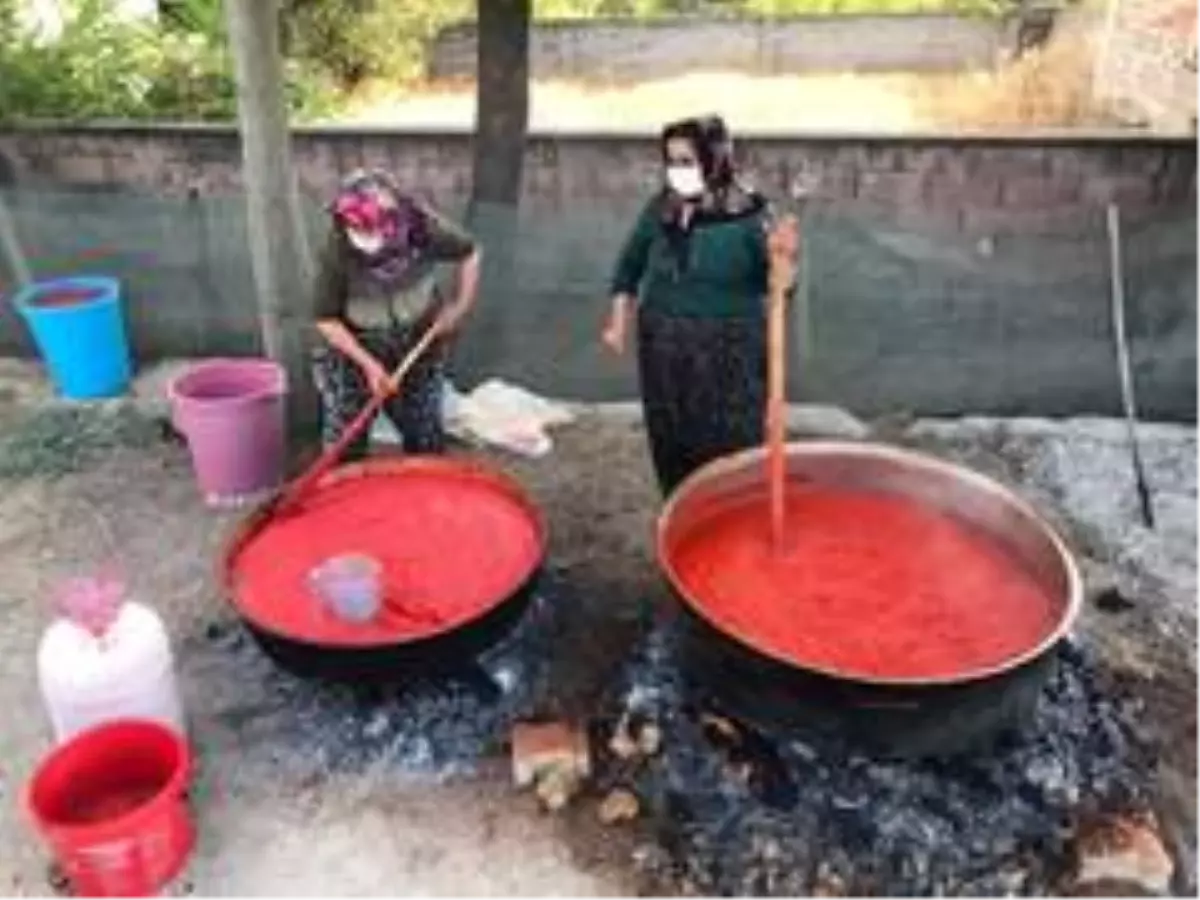 İki kardeşin yoğun 'salça' mesaisi: Kilosu 25 liradan satılıyor