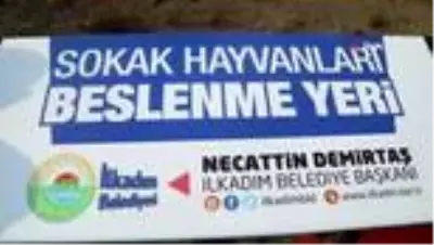 İlkadım can dostları unutmuyor İlkadım can dostları unutmuyor