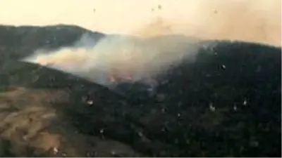 İzmir'de ormanlık alanda çıkan yangın kontrol altında