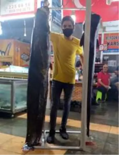 Kahramanmaraş'ta 2 metrelik balık yakalandı Kahramanmaraş'ta 2 metrelik balık yakalandı