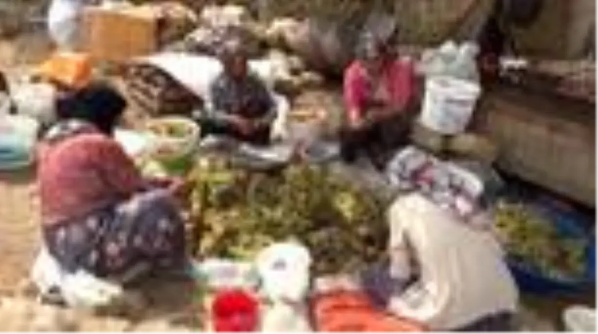 Son dakika haber: Kahramanmaraş'ta 'Şıra' telaşı