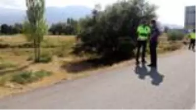 Kamyonet şarampole devrildi: 7 yaralı Kamyonet şarampole devrildi: 7 yaralı
