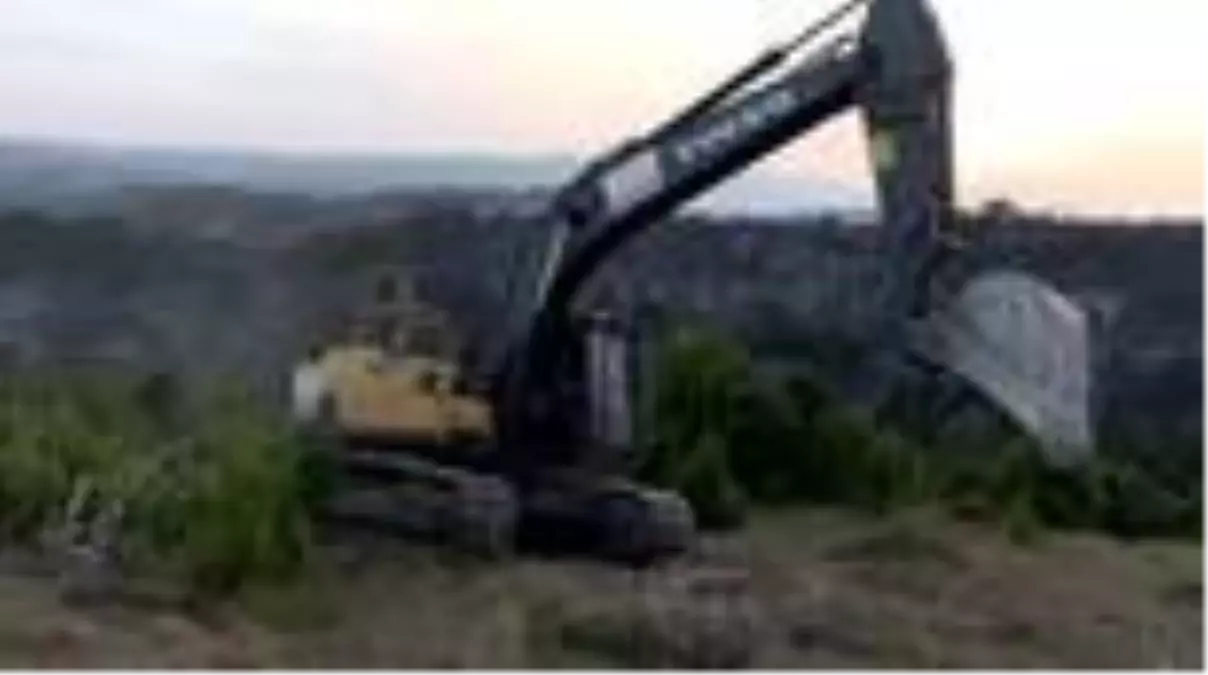 Son dakika haber | Kandıra'da çıkan orman yangını söndürüldü