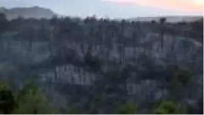 Son dakika haber | Kandıra'da çıkan orman yangını söndürüldü Son dakika haber | Kandıra'da çıkan orman yangını söndürüldü