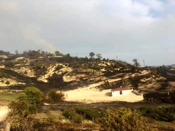 Kandıra'da orman yangını (2)