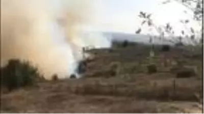 Kandıra'da orman yangını Kandıra'da orman yangını
