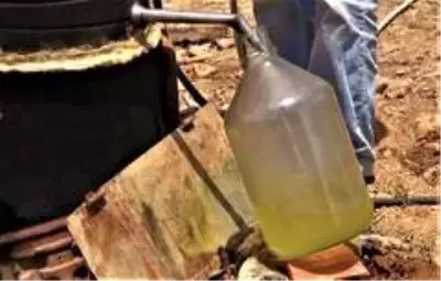 Kara kazandan gelen doğal şifa Kara kazandan gelen doğal şifa