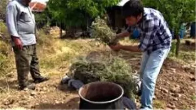Kara kazandan gelen doğal şifa Kara kazandan gelen doğal şifa