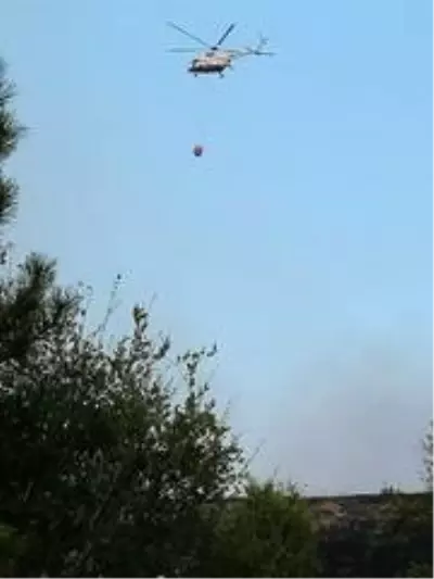 Kocaeli'nin 11 bölgesinde orman yangınları çıktı Kocaeli'nin 11 bölgesinde orman yangınları çıktı